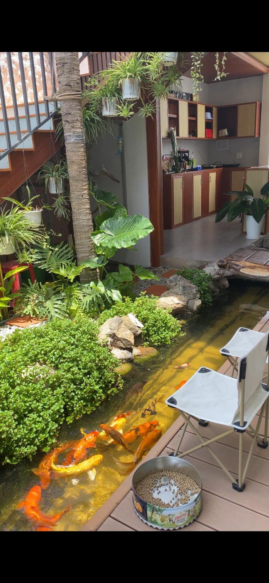 Ve Nha Homestay - Dao Phu Quy Cu Lao Thu المظهر الخارجي الصورة